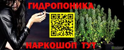 скорость Аргун