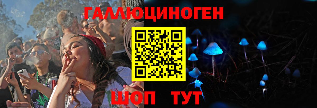 Галлюциногенные грибы GOLDEN TEACHER Великий Новгород